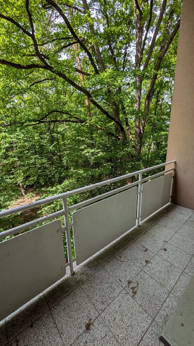 Gemütliche 3 Zimmer Wohnung im Grünen ab SOFORT!! - Photo 1