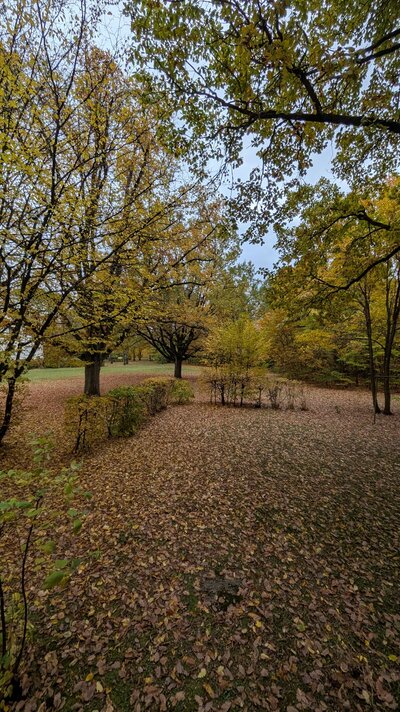 Aussicht_Dr_Linnert-Ring_73