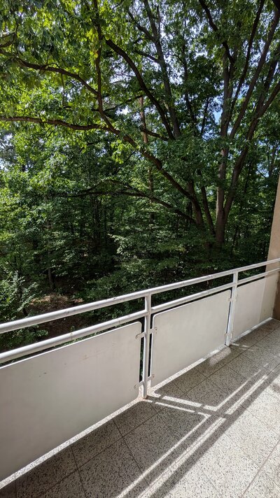 Balkon_Dr_Linnert_Ring_70