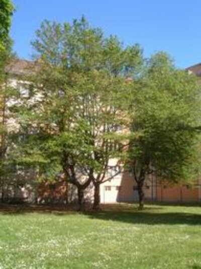 Gebäudebild
