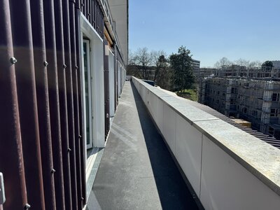IMG_5683