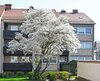 Gebäudebild