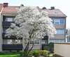 Gebäudebild