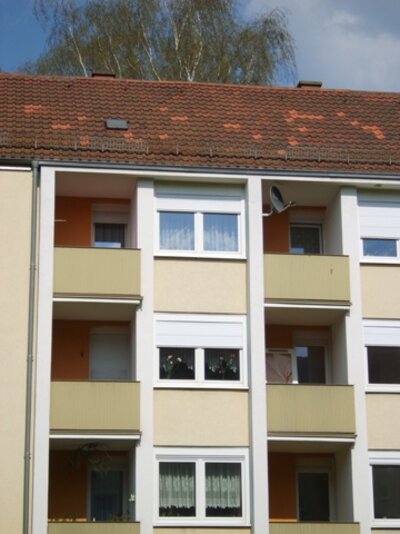 Ruhig und Grün. 2 Zimmer Wohnung ab 1.11.26! - Foto 5