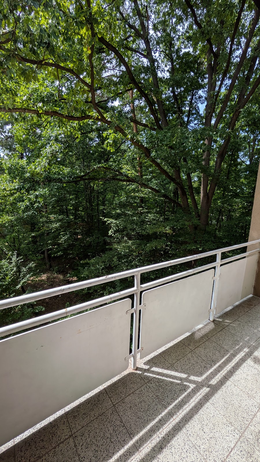 Balkon_Dr_Linnert_Ring_70