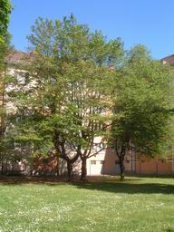 Gebäudebild