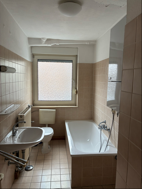 Photo-3