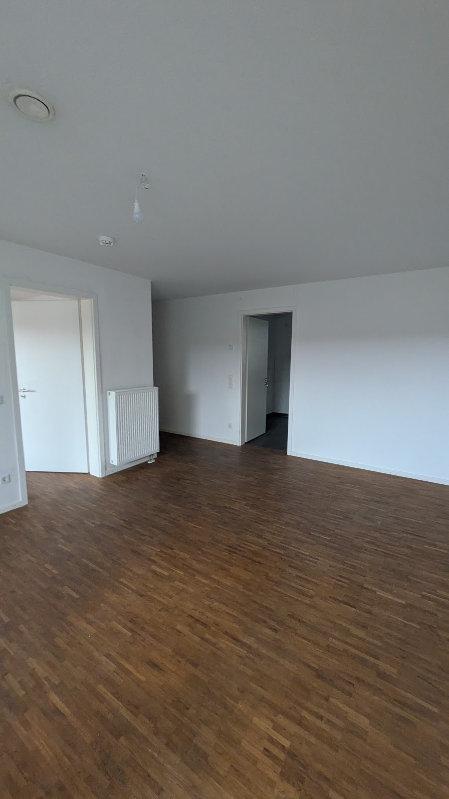 Ingolstädter_233